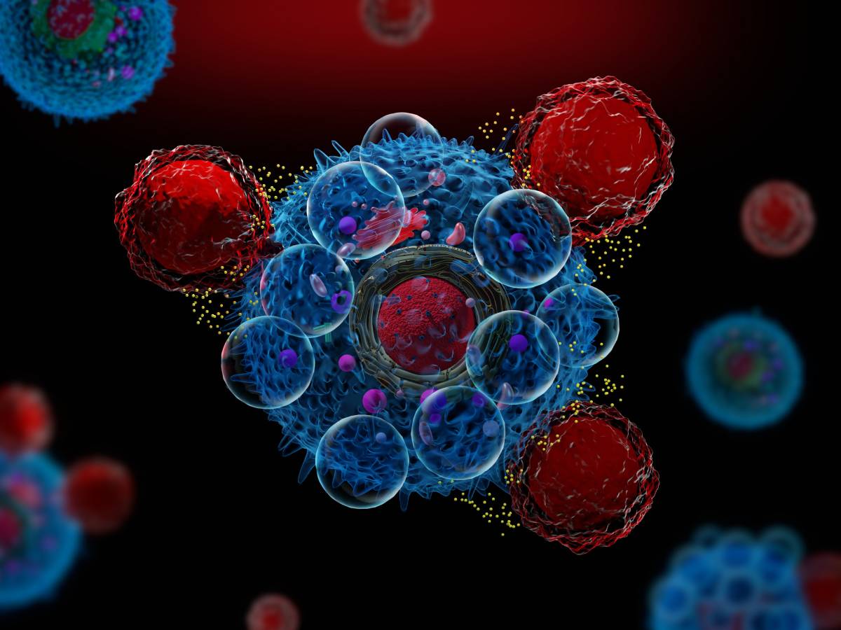 Physiology and  Consequences of a Cytokine Storm