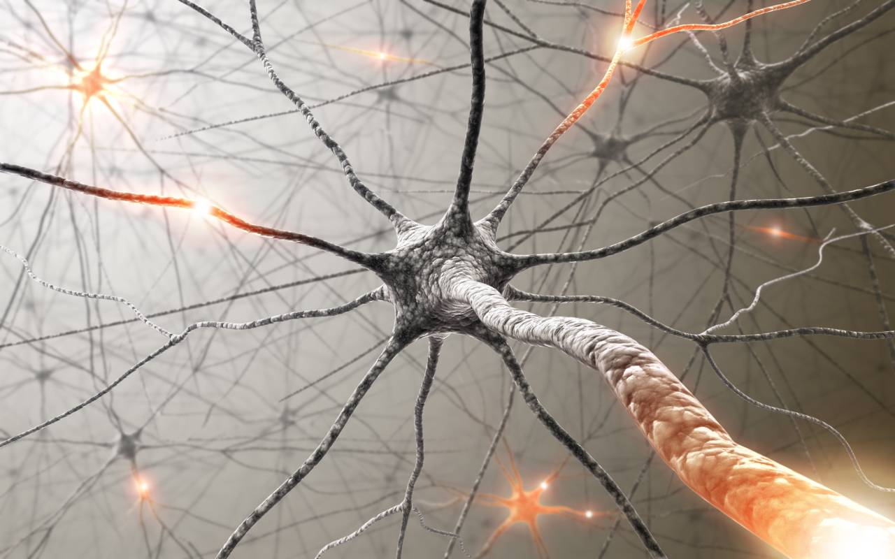 Neuroprotective Effects of Dexmedetomidine