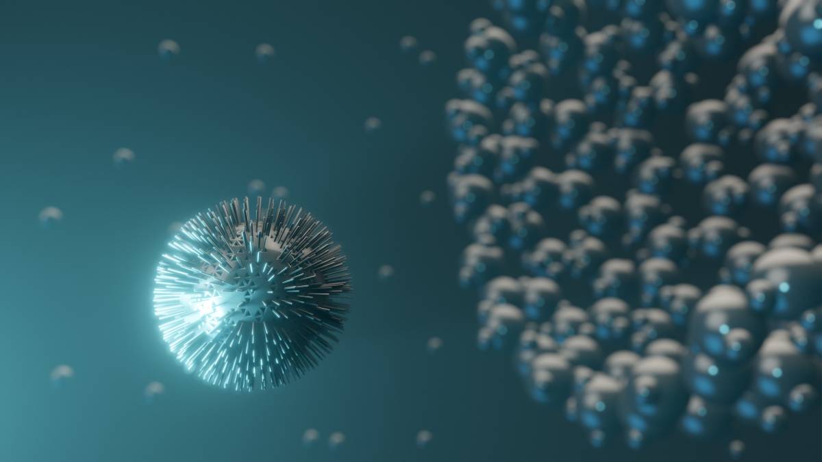 Neuropilin-1 Receptor:   SARS-CoV-2 and  Analgesia 